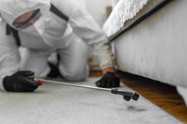 Professional Pest Control technician working in Plainville, KS
