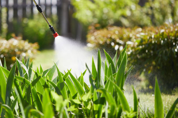 24/7 Emergency Rodent Control experts in Plainville, KS