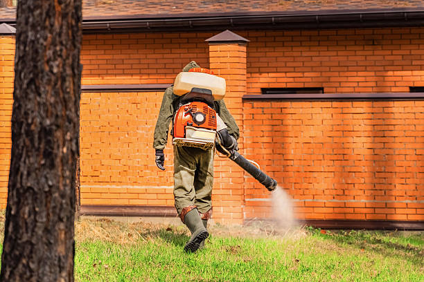 Trusted Emergency Pest Control service in Plainville, KS - Nex Pest Control